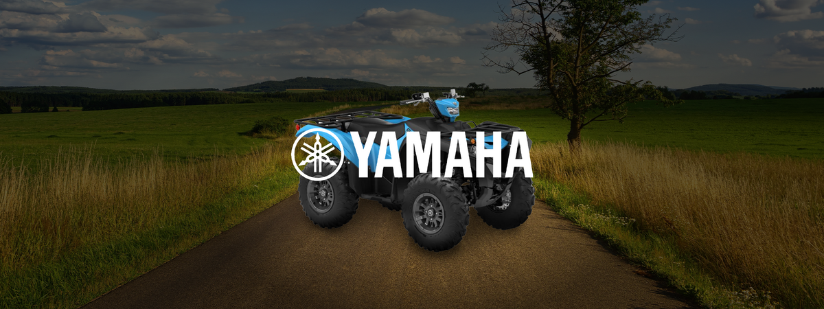 2016 Yamaha Grizzly 350 4x4 Parts