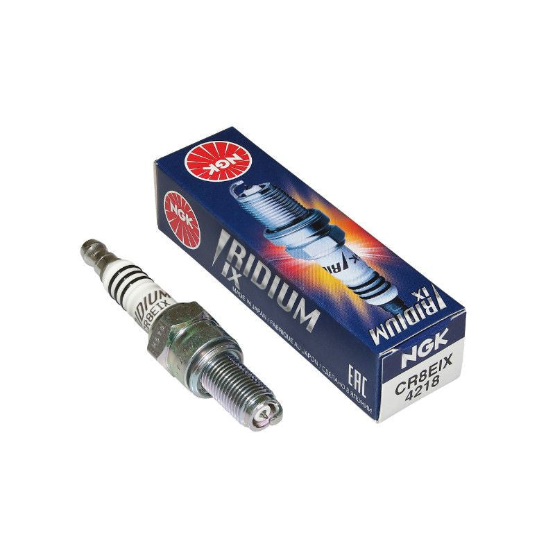 SPARK PLUG NGK CR8EIX