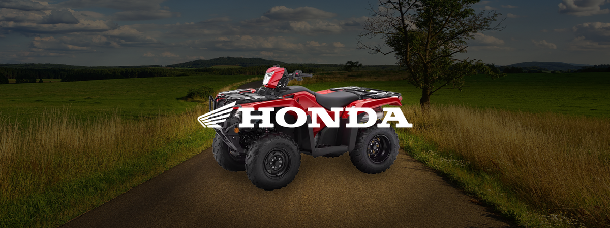 2002 Honda TRX450 FM Foreman S Parts