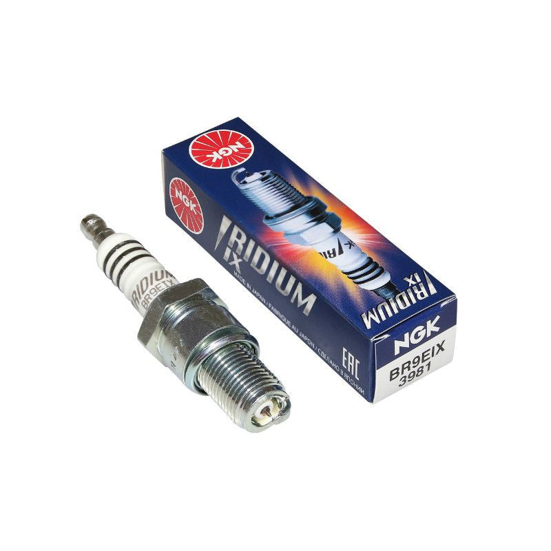 SPARK PLUG NGK BR9EIX