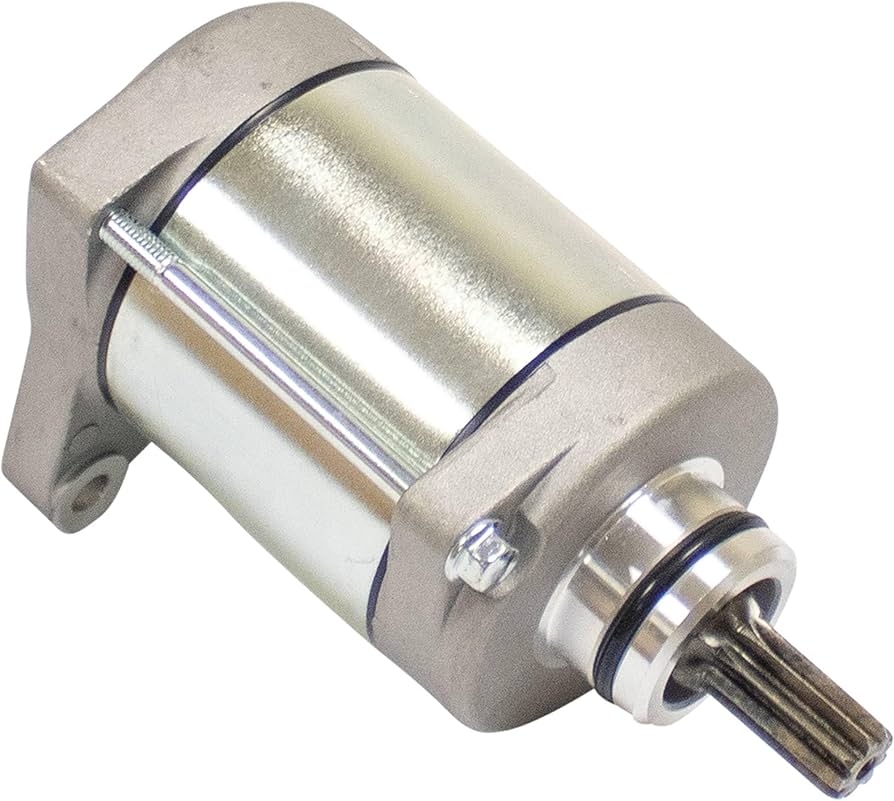 Honda TRX 250 TE TM Fourtrax Starter Motor 2008-2025