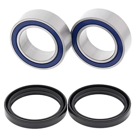 REAR CARRIER BEARING KIT, HIGH PERFORMANCE, ALLBALLS 25-1663