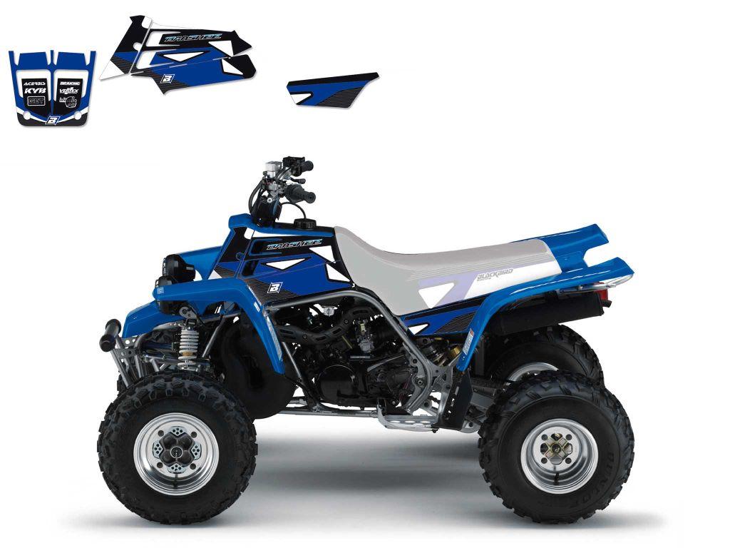 88-06 BLASTER GRAPHICS 2Q03A, BLACKBIRD DECAL KIT